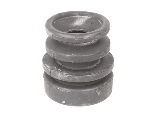 Halter, Motoraufhängung