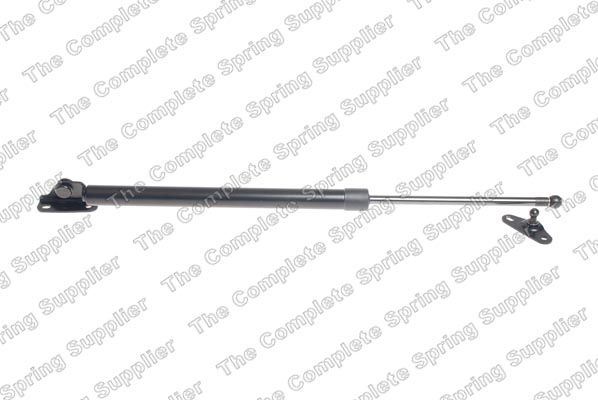 Gasfeder, Koffer-/Laderaum