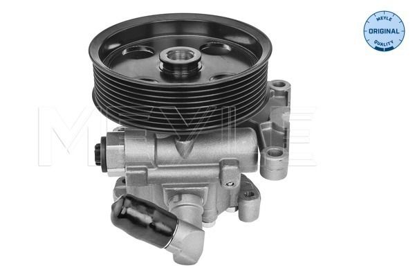 Hydraulikpumpe, Lenkung