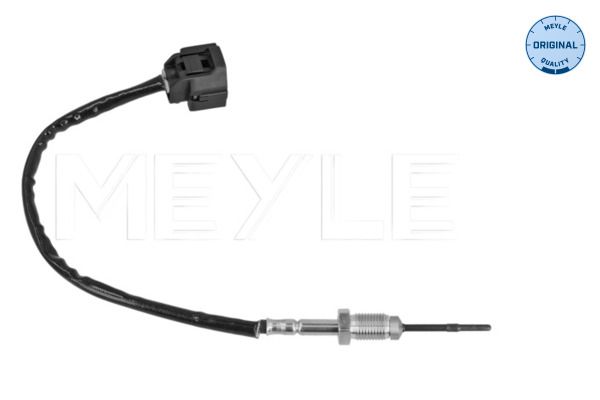 Sensor, Abgastemperatur