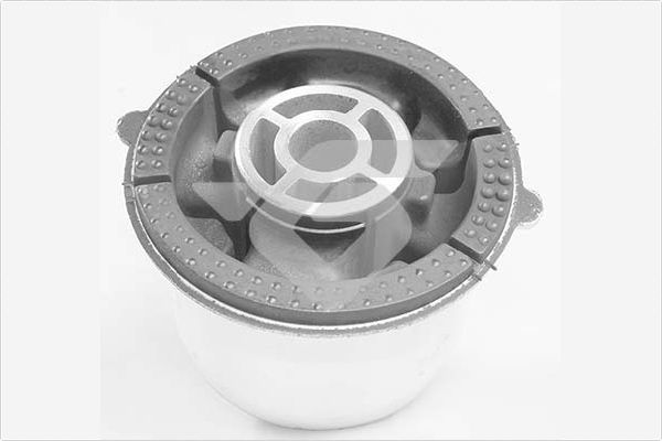 Lagerung, Achskörper