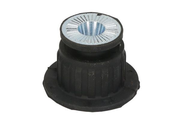 Halter, Motoraufhängung