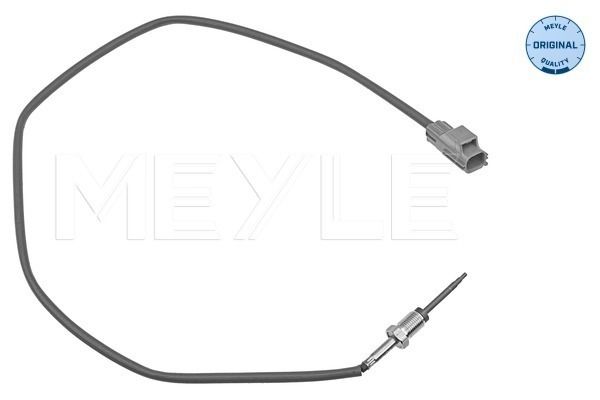 Sensor, Abgastemperatur