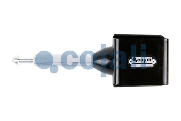 Federungskörper, Luftfederung