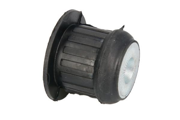 Halter, Motoraufhängung