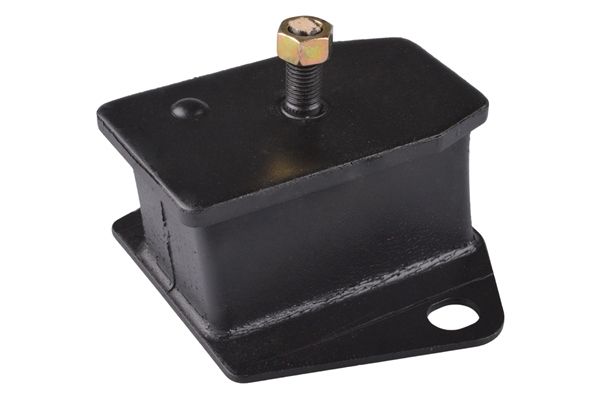 Halter, Motoraufhängung