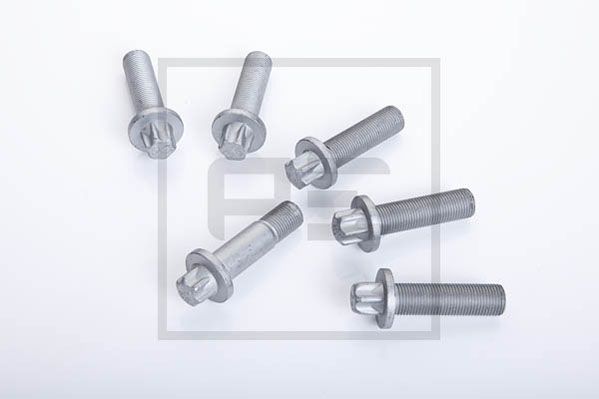 Schraube, Bremssattel