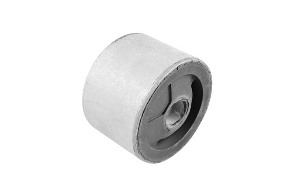 Halter, Motoraufhängung