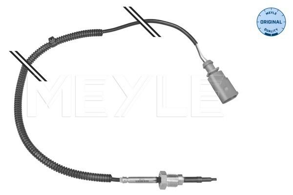 Sensor, Abgastemperatur