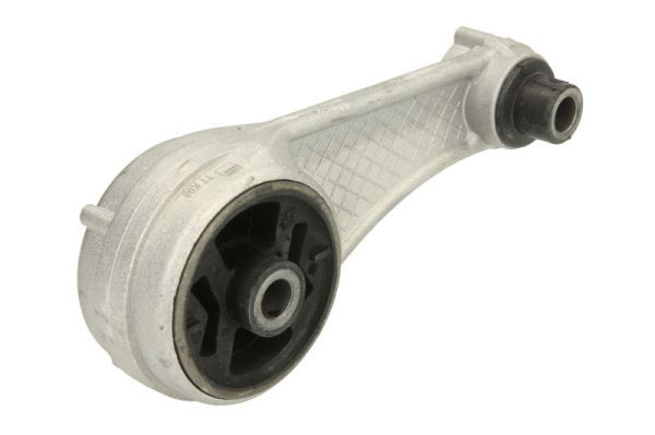 Halter, Motoraufhängung
