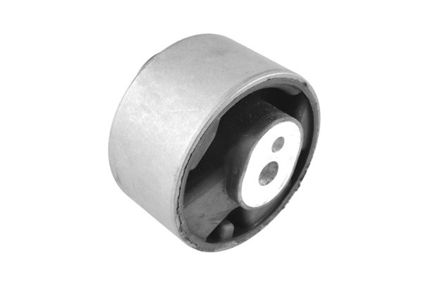 Halter, Motoraufhängung