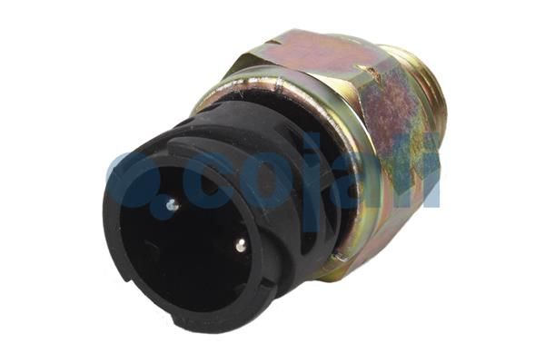 Lichtschalter passt zu: SCANIA