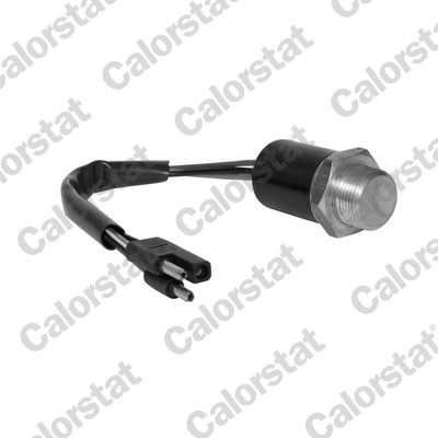 Temperaturschalter, Kühlerlüfter