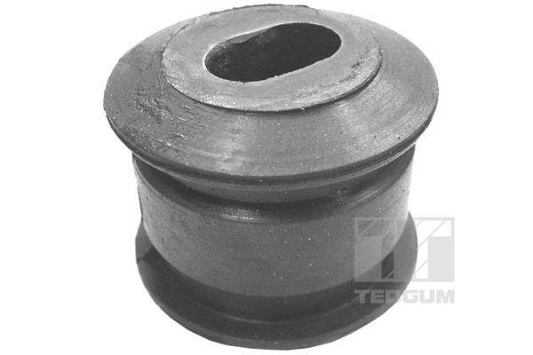 Halter, Motoraufhängung