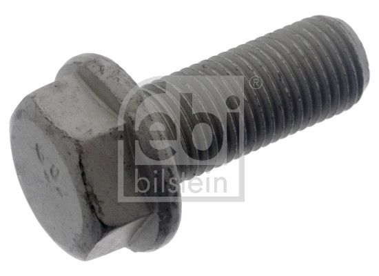 Schraube, Bremssattel