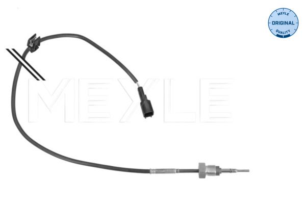 Sensor, Abgastemperatur