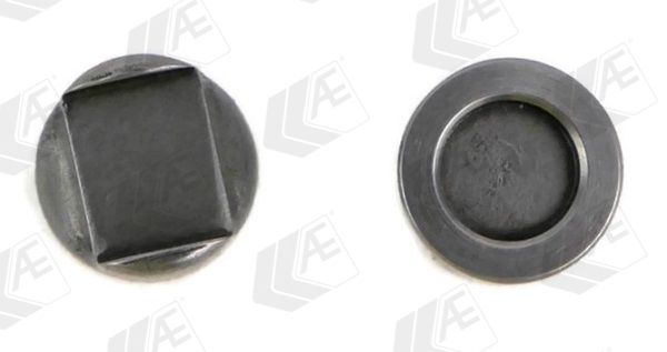 Druckstück, Einlass-/Auslassventil