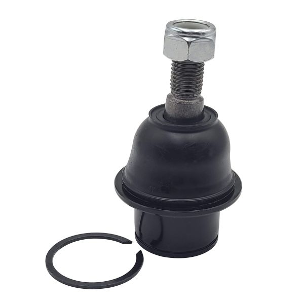 Trag-/Führungsgelenk