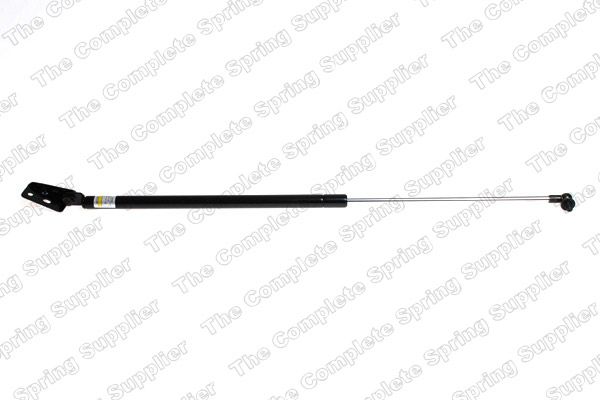 Gasfeder, Koffer-/Laderaum