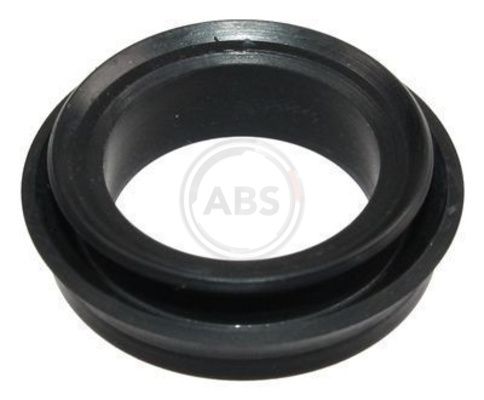 Radsensor, Reifendruck-Kontrollsystem