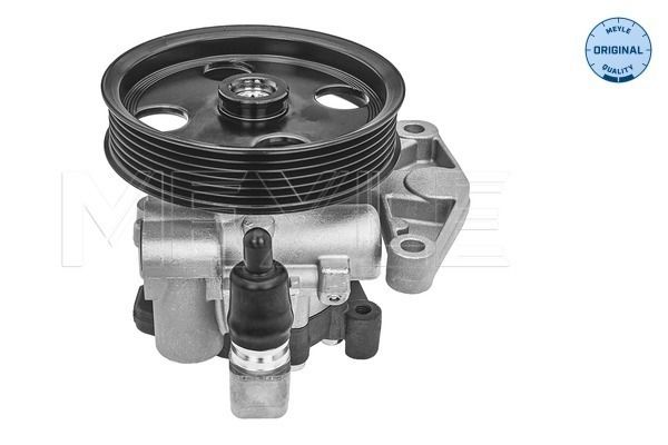 Hydraulikpumpe, Lenkung
