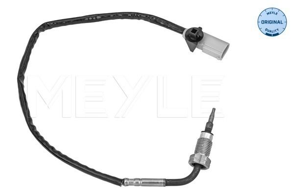 Sensor, Abgastemperatur