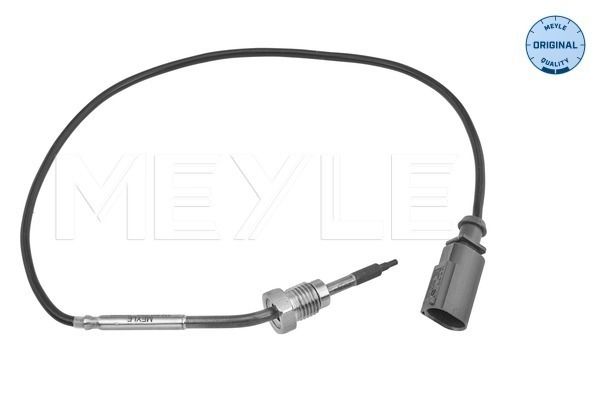 Sensor, Abgastemperatur