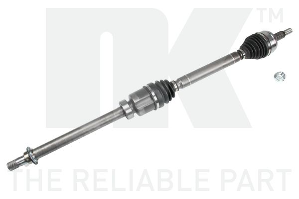 Gasfeder, Koffer-/Laderaum