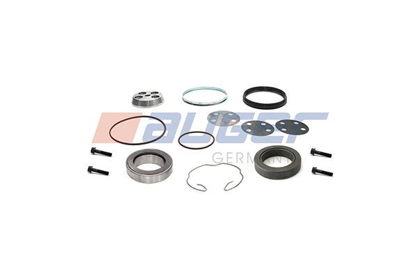 Reparatursatz, Achsschenkel (Federbock)