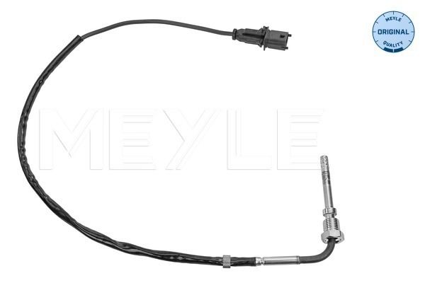 Sensor, Abgastemperatur